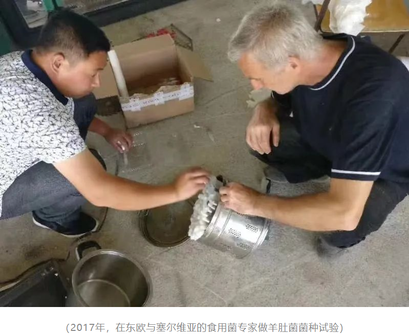 &#24320;&#20803;&#32593;&#31449;&#30331;&#24405;&#20837;&#21475;&#95;&#24320;&#20803;&#65288;&#20013;&#22269;&#65289;